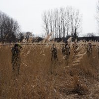 Standerhejsning og foerste flyvedag (1)